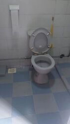 Blk 531 Pangshan Valley (Bukit Panjang), HDB 4 Rooms #589263521